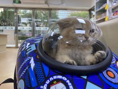 -宠颐生中康贝怡动物医院