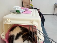 -美联众合动物医院·24h京西诊疗中心