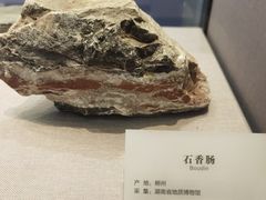 -湖南省地质博物馆