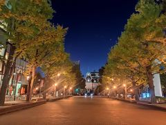 -北海道厅旧本厅舍(旧本庁舎)