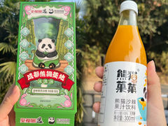 -成都大熊猫繁育研究基地