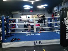 -M.S拳击泰拳馆(大学路店)