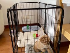 -爱侣宠医·鹦鹉专科·小型哺乳类·异宠专科(灵石路店)