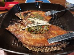 -雀舞云南菜(天津天河城购物中心店)