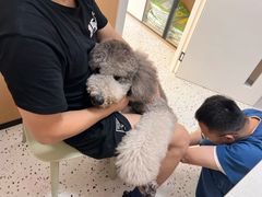 -瑞派康怡24h宠物医院·犬猫医疗中心·微创绝育(瑞景分院)