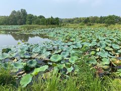 -池州市平天湖风景区