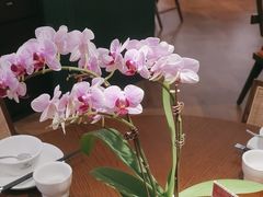 -小户人家(循礼门南国中心店)