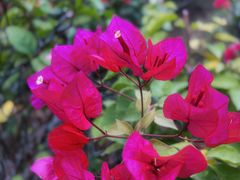 -麦当劳(长乐西洋南路得来速店)