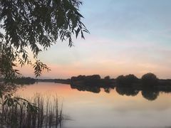-贡湖湾湿地公园
