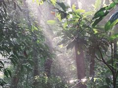 -武吉知马自然保护区