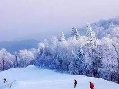 -亚布力新体委滑雪场