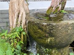 -古韵餐厅(湖畔大学店)