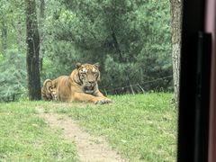 -北京野生动物园