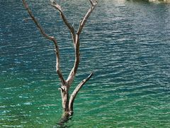 -叠溪松坪沟景区