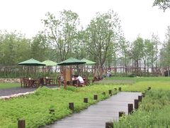 -田园东方蜜桃村的田野营地