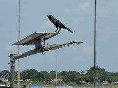 -班达拉奈克国际机场