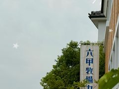 -神户六甲牧场(北野本店)