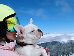 -太子岭滑雪场