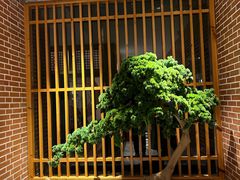 -囍榷·鲜美常州菜(恐龙园店)