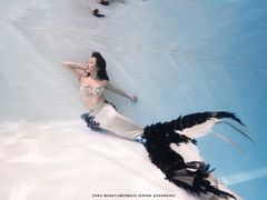 -上海潜殿潜水中心