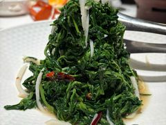 -三强鸽子(胜利路店)