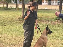 -北京京卫宠物寄养训练中心