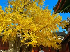 -承恩寺