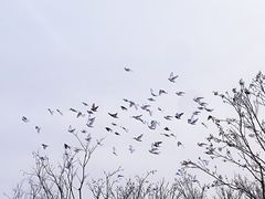 -祥源·阜阳生态乐园