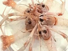 -斯普汇生蚝牛排馆(中骏世界城店)