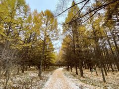 -塞罕坝国家级自然保护区