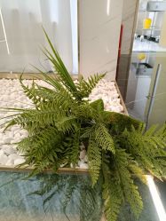 -铂诗玥医美