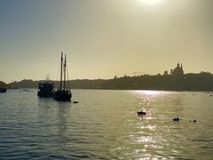 -上巴拉卡花园和下巴拉卡花园