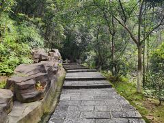 -广州白江湖森林公园