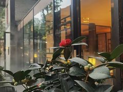 -大妙火锅·非物质文化遗产(东湖公园店)