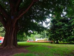 -北海道厅旧本厅舍(旧本庁舎)