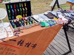 -长白岛森林公园