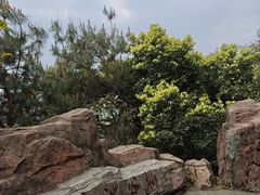 -铁山坪森林公园