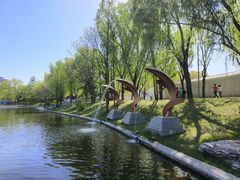 -WhaleSports户外水上运动俱乐部(朝阳公园店)