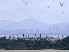 -南澳海滩