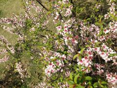 -白塘生态植物园