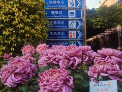 -广州文化公园