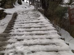 -王顺山国家森林公园