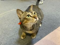 -旅程琴行吉他培训·吉他专卖