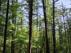 -崂山巨峰游览区