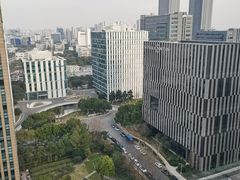 -上海漕河泾万丽酒店