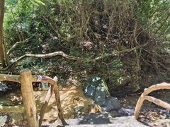 -南丹山森林王国