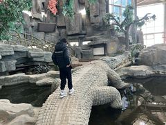 -鄂尔多斯野生动物园