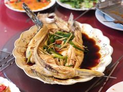 -新疆风味冷水鱼庄(友谊峰路店)