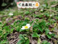 -叠溪松坪沟景区