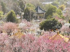 -无锡梅园公园